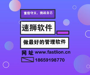 北京erp系统专业开发,速狮软件竭诚的服务无与伦比