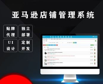 亚马逊无货源erp系统招商加盟定制独立部署设计logo