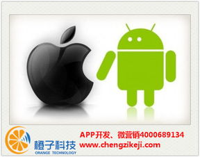 一个火锅店的客户,想做郑州app开发,就是餐饮行业的,不知道郑州那个公司专业,求推荐