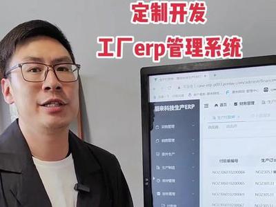 管家婆辉煌版定制开发ERP系统 提升企业效率的智能解决方案